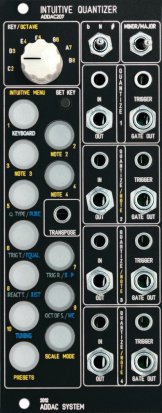 Eurorack Module ADDAC207 Intuitive Quantizer (black) from ADDAC System