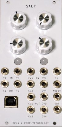 Eurorack Module Salt from Rebel Technology