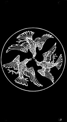 Eurorack Module Murder of Crows from Isobar Industries