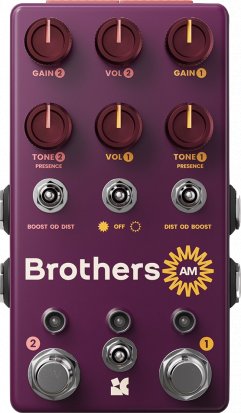 Pedals Module Brothers Am from Chase Bliss Audio