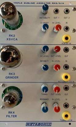 Buchla Module TRIPLE SUBLIME ASSEATER [200R] from Metasonix