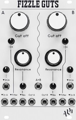 Eurorack Module Fizzle Guts from ALM Busy Circuits