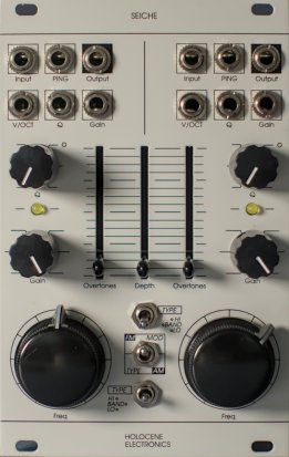 Eurorack Module SEICHE from Holocene Electronics