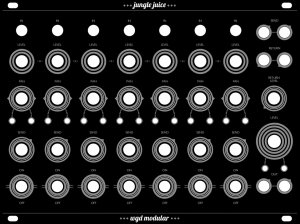 Eurorack Module Jungle Juice from WGD Modular