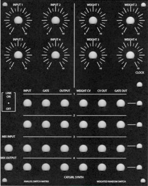 MOTM Module Weighted Random Switch Matrix from CGS