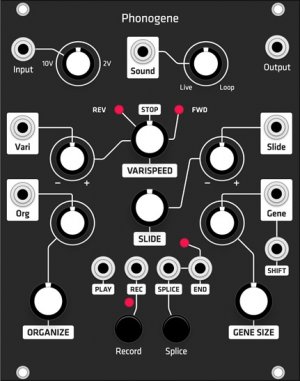 Eurorack Module Phonogene (Grayscale black panel) from Grayscale