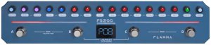 Pedals Module Flamma FG200 from Other/unknown