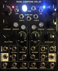 Eurorack Module Dual Looping Delay (Magpie Modular Panel) from Other/unknown