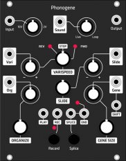 Phonogene (Grayscale black panel)