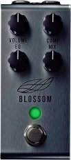 Blossom
