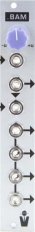 Eurorack Module .bam from STG Soundlabs