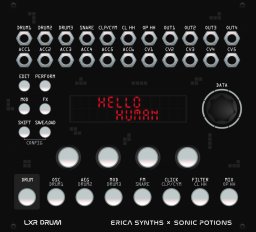 Eurorack Module LXR eurorack module from Erica Synths