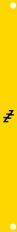 2HP promo blank (gold)