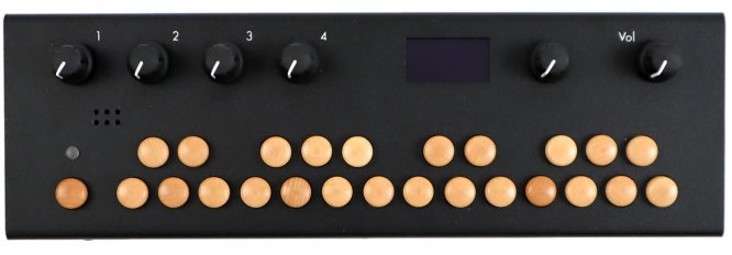Organelle S