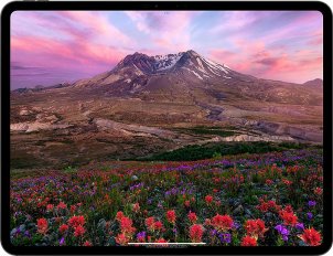 Apple iPad Pro 11 inch (2024)