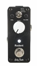 Rodent