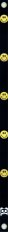 Blank