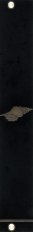 Seashell Blank